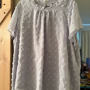 Light Blue Polka Dot Textured Top - 3x
